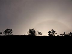 photo "Halo"