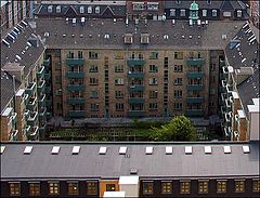 фото "Buildings"