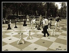 photo "Chess"