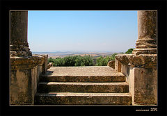 фото "From depth"