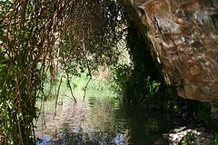 photo "7781"