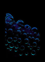 фото "..."