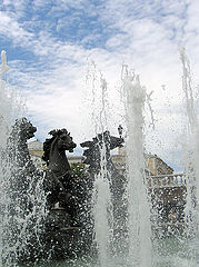 photo "Horses"