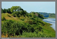 фото "....."