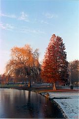 фото "4 seasons"