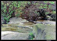 фото "Камень и ручей"