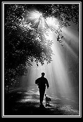photo "Sun's revelation b/W"