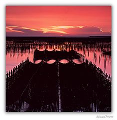 фото "The sunsets"