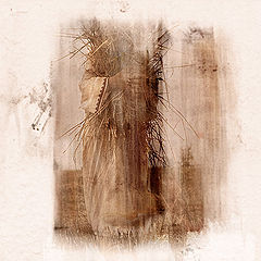 photo "Without bread, without breath"