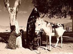 photo "Egypt"