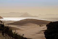 фото "Roncador dune"