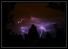 photo "Elements of light"