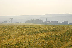 photo "Morning in the field near Nizhnee Selo"