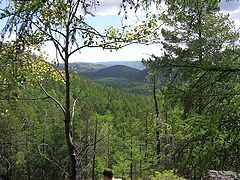 photo "Untitled photo"