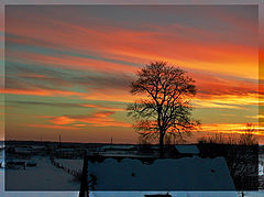 photo "Evening of New Year"