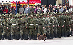 photo "Command the parade shall I!"