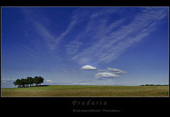 photo "Prairie"