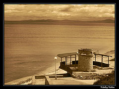 photo "Untitled photo"