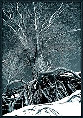 фото "Фарнгорн"