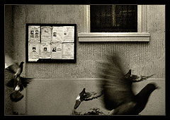 фото "Lost souls"