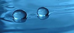 photo "Blue twins"