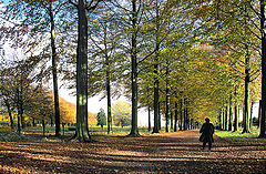 фото "Bois Seigneur Isaac"