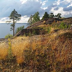 photo "All in the same place, on the Vyborg rocks"