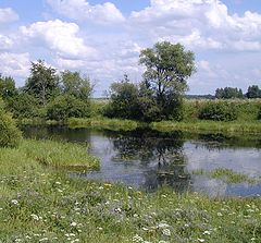фото "Краски июля - 2"