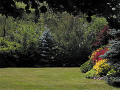 photo "Summer's Color"
