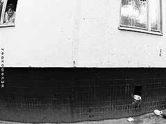 photo "black-white world"