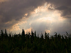 фото "...and heaven was shown its light!"
