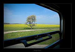фото "landscape"