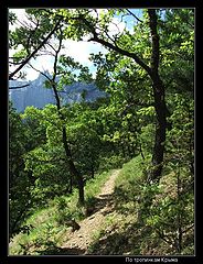 photo "On footpaths of Crimea"