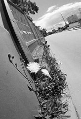 photo "from Yury Tyapin..."