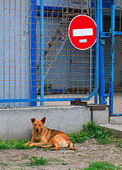 photo "Who goes there?!"
