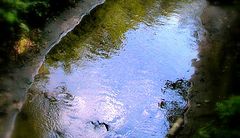 photo "creek bed"