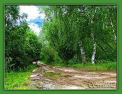 photo "Untitled photo"