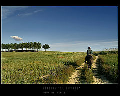 photo "Finding "El Dourado""
