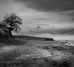 photo "On edge"