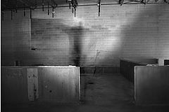 фото "The Cross"