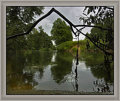 photo "Summer rain"