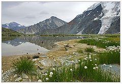 photo "Bronia mounts"