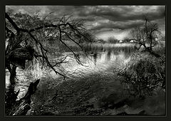 photo "Scenery of spring"