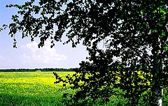 photo "Russian landscape"