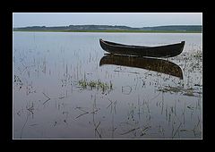 фото "Над водой."