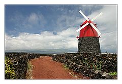 photo "Wind mill"