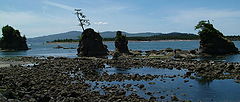 photo "Three Graces At Low Tide"