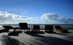 фото "Resting..."