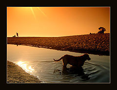 фото "hot day"