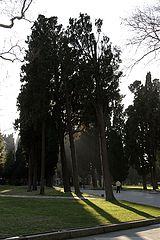 photo "Light and shadows"